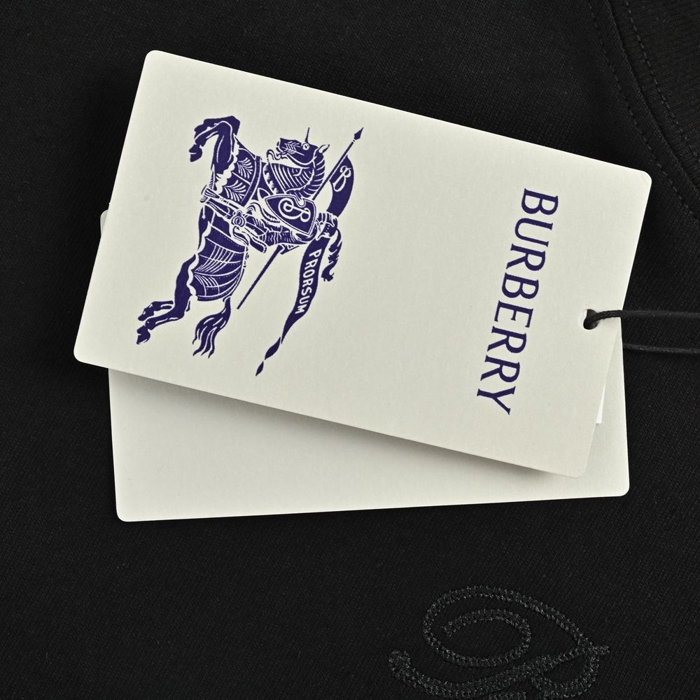Burberry T-shirts-1127