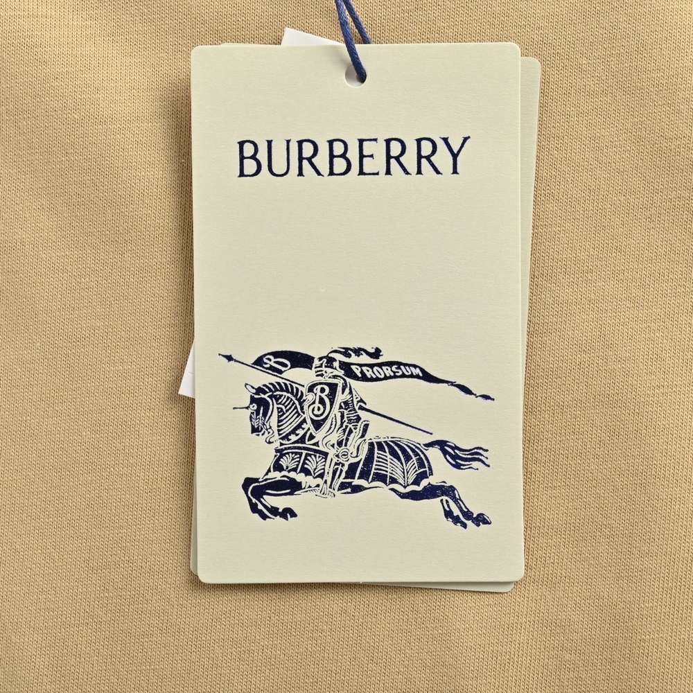 Burberry T-shirts-1075
