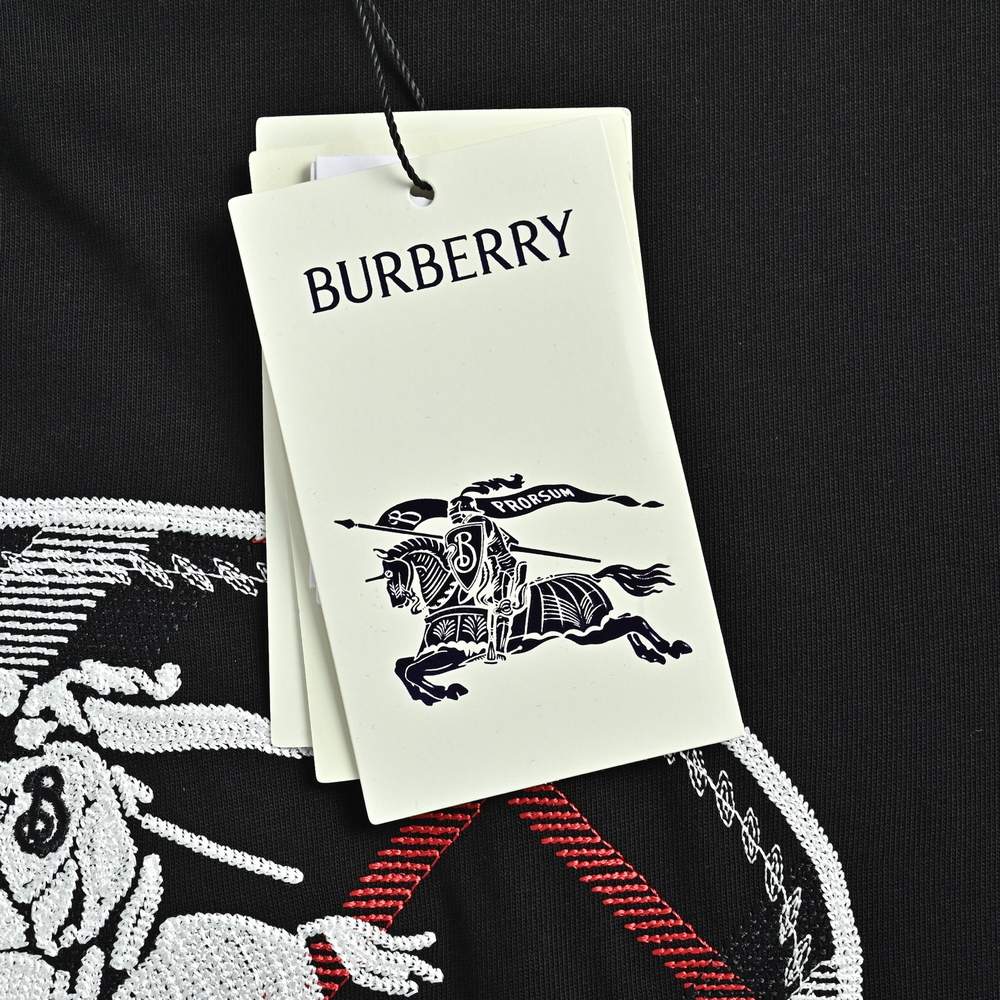 Burberry T-shirts-1183