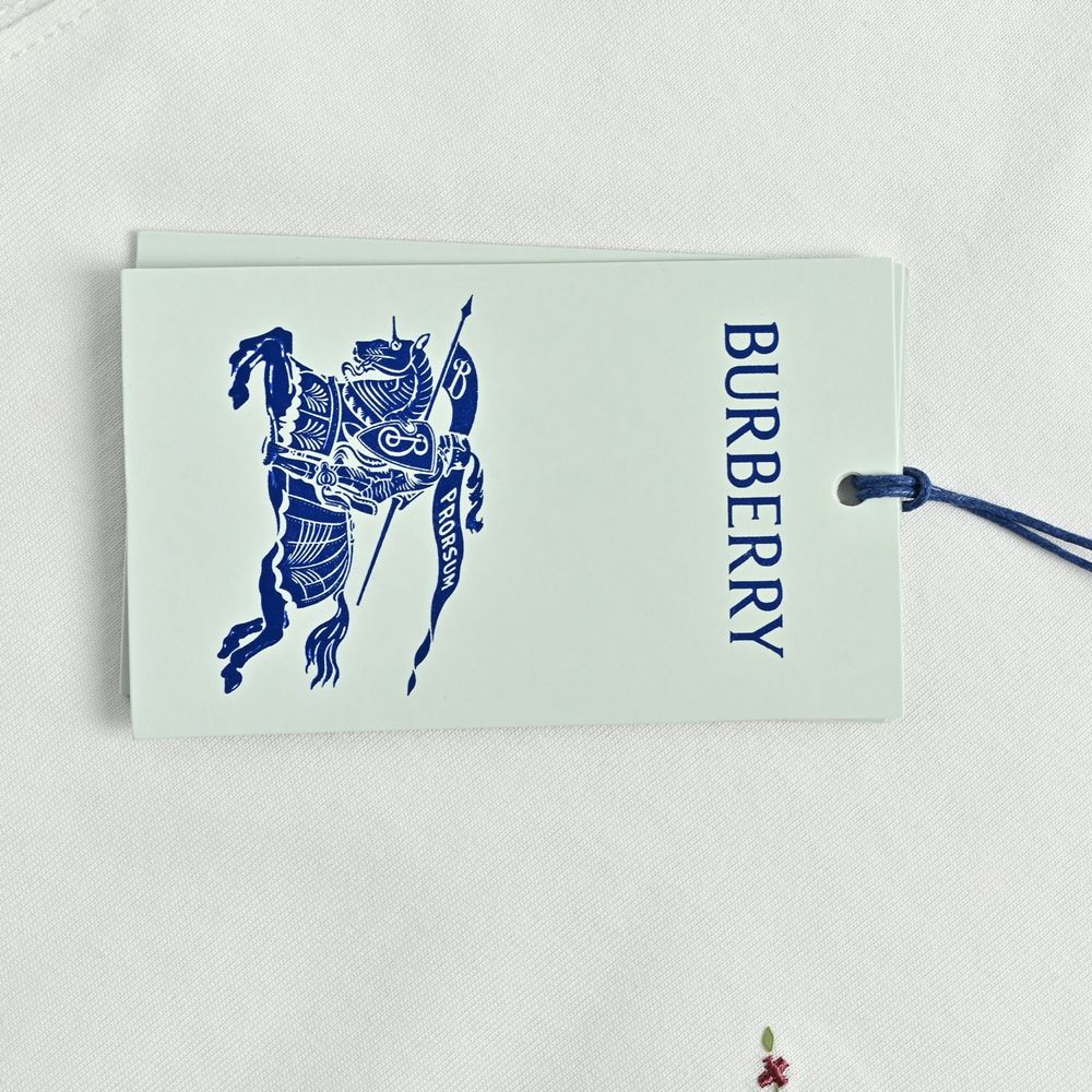 Burberry T-shirts-1266