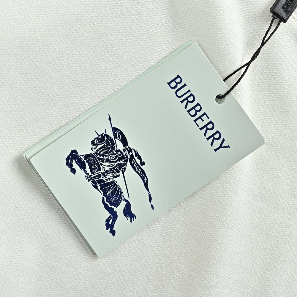 Burberry T-shirts-1191