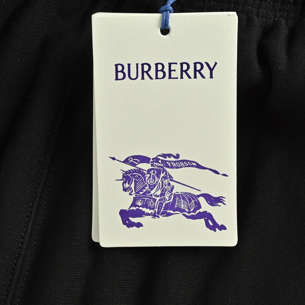 Burberry Shorts-129