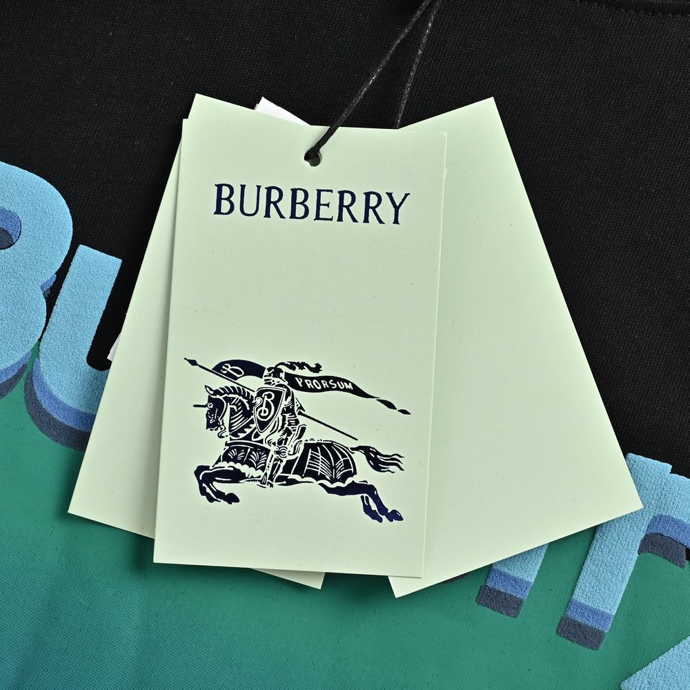 Burberry T-shirts-1231