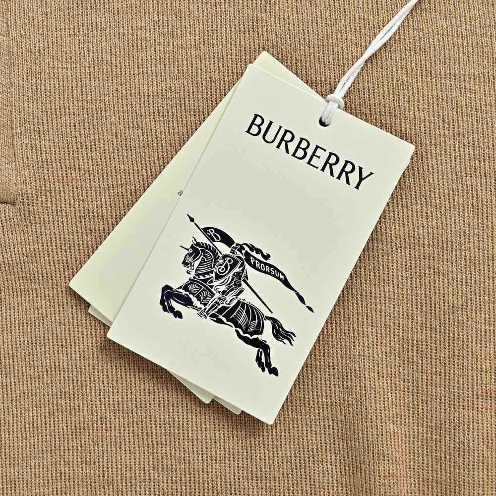 Burberry Polo(AAA)-082