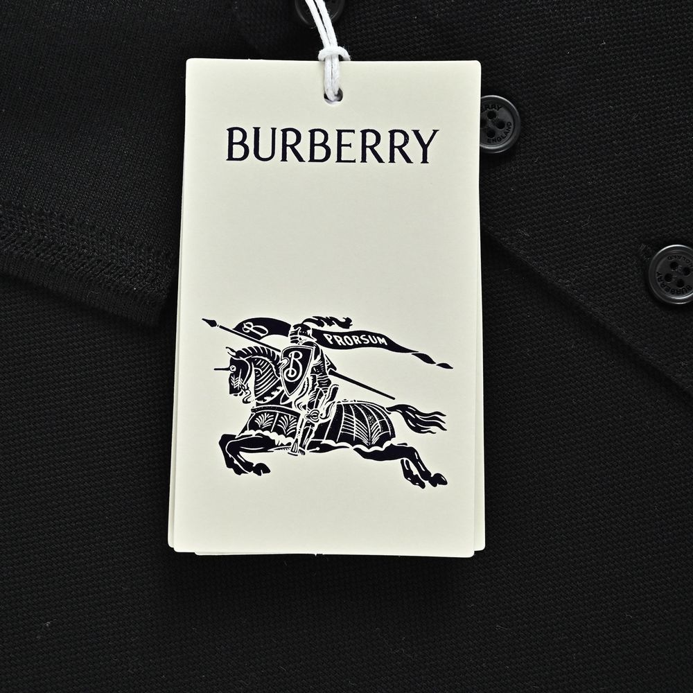 Burberry Polo(AAA)-085