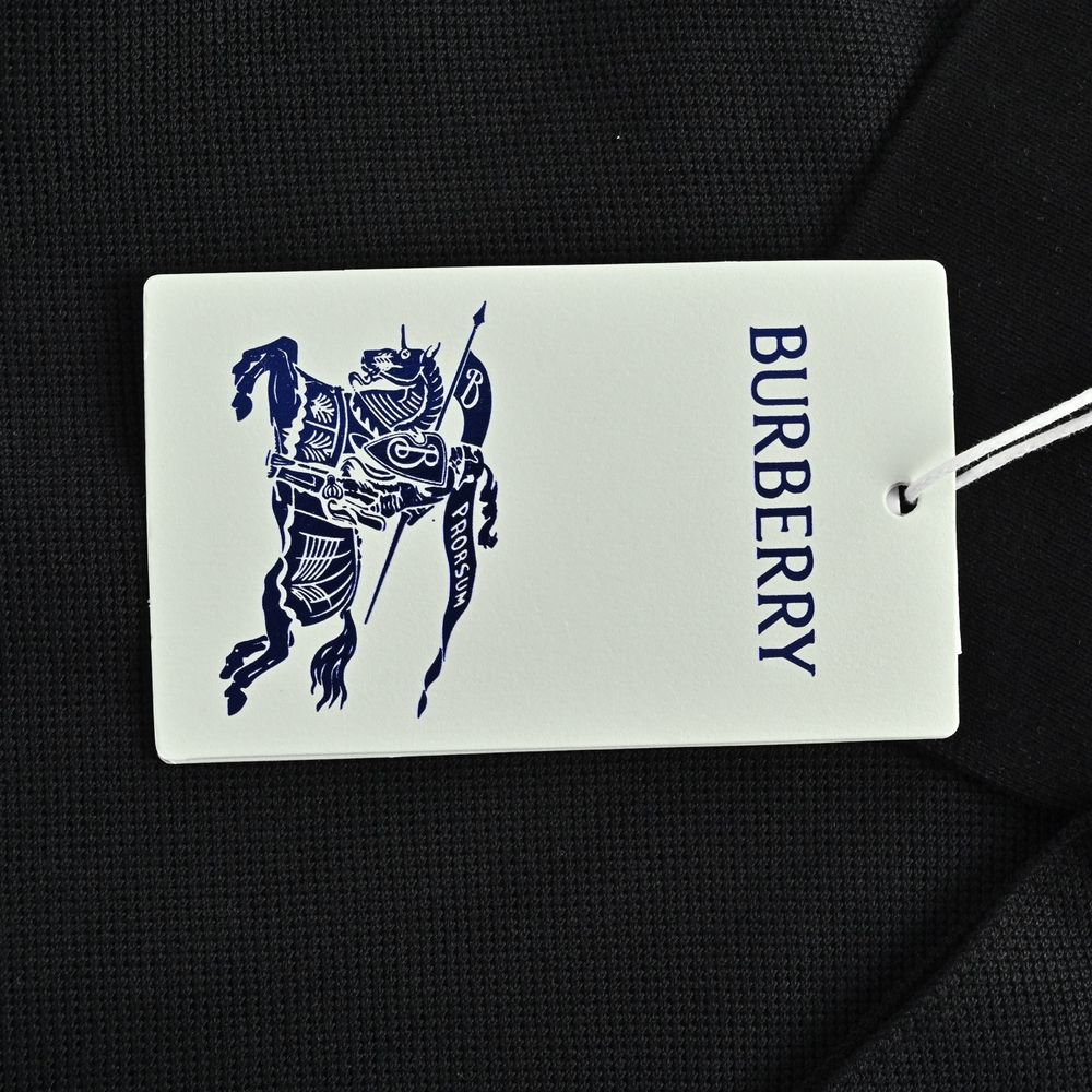 Burberry Polo(AAA)-027
