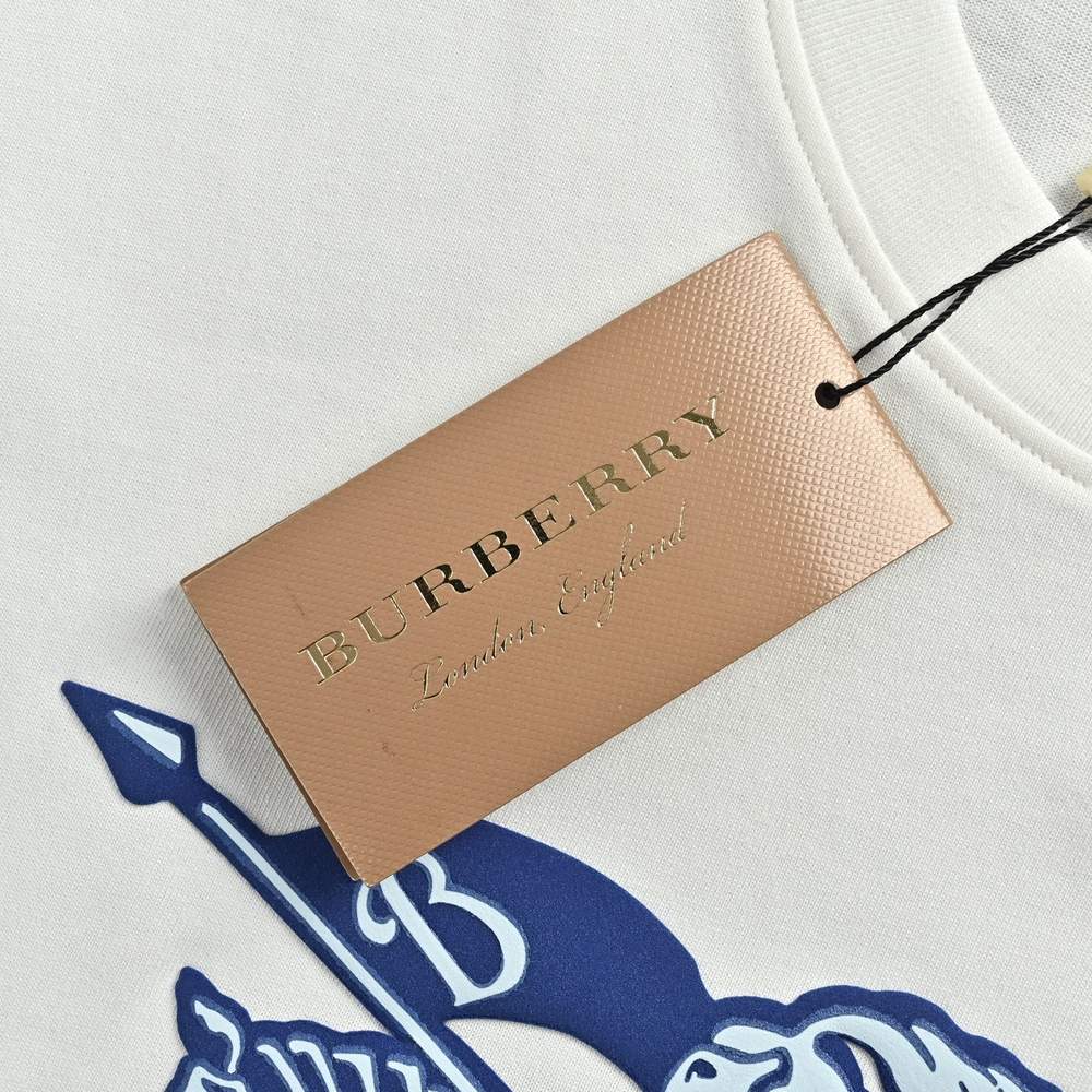 Burberry T-shirts-1088