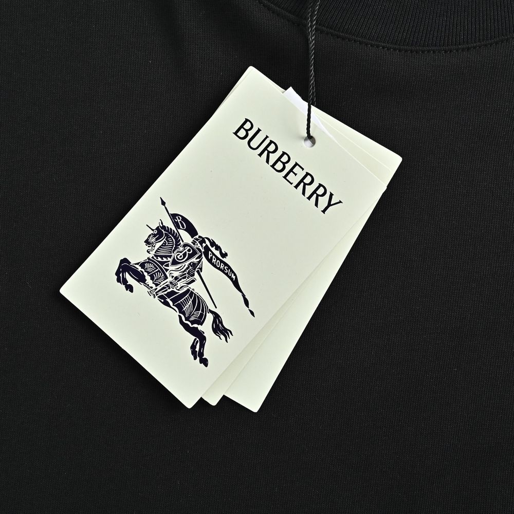Burberry T-shirts-1189