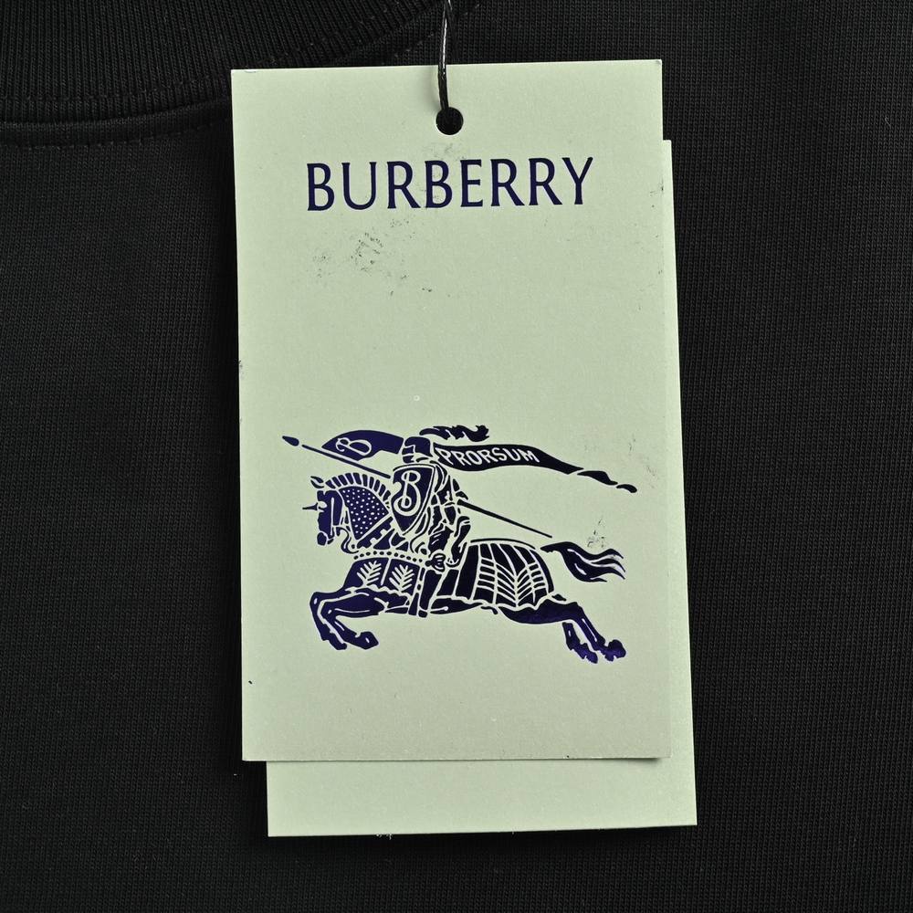 Burberry T-shirts-1077