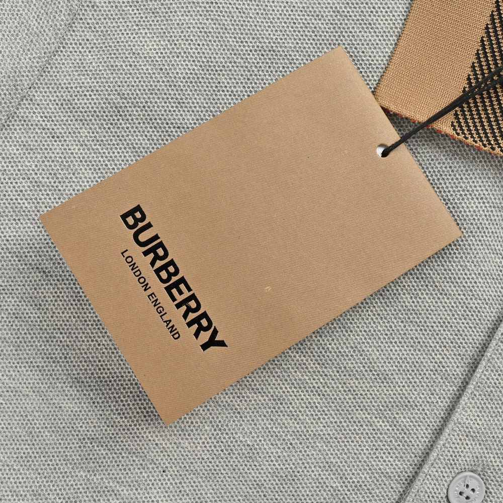 Burberry Polo(AAA)-005