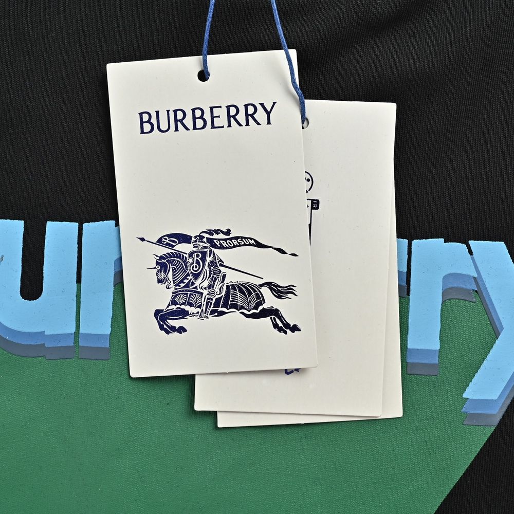 Burberry T-shirts-1245