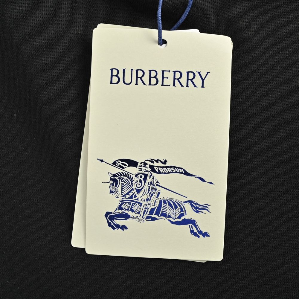 Burberry T-shirts-1073