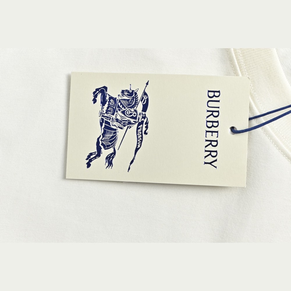Burberry T-shirts-1237