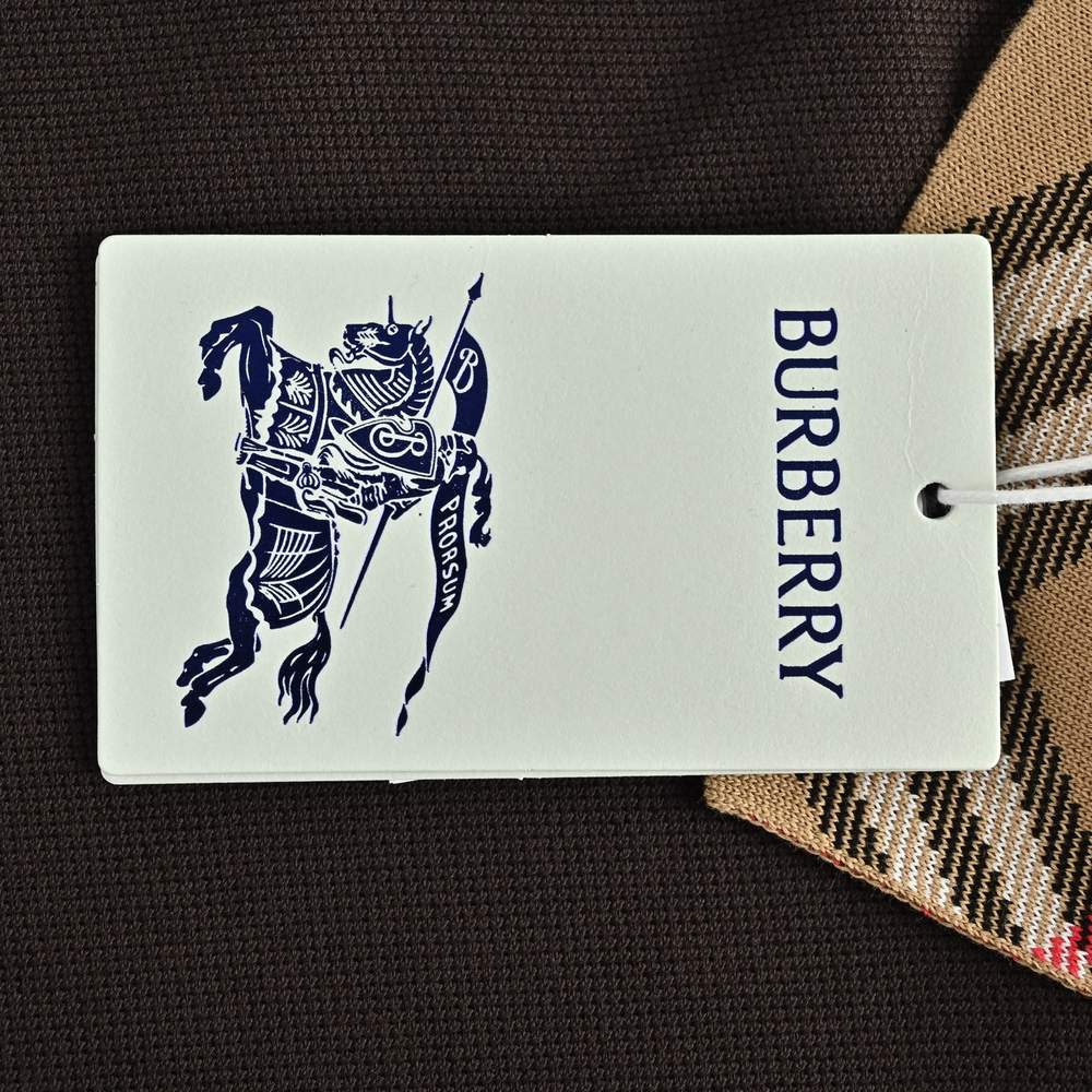 Burberry Polo(AAA)-024