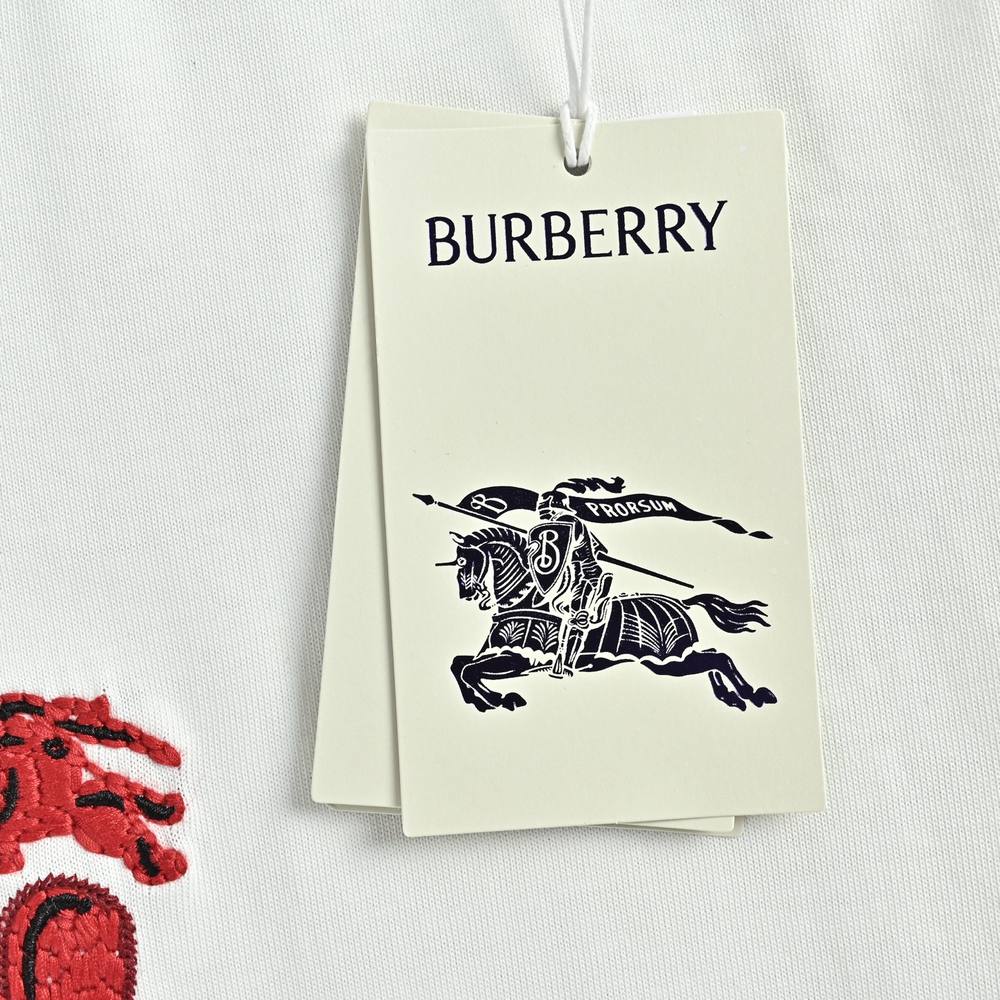 Burberry T-shirts-1170