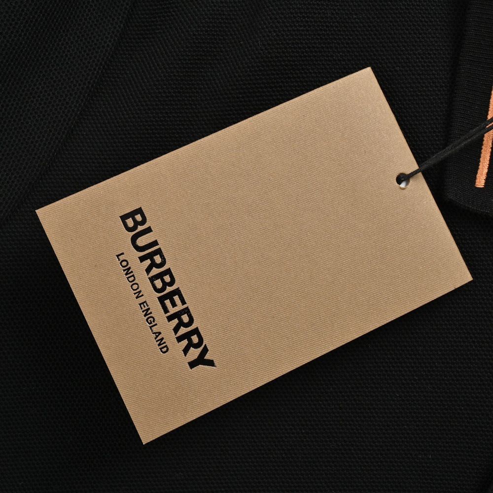 Burberry Polo(AAA)-065
