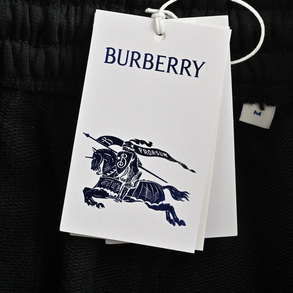 Burberry Shorts-181