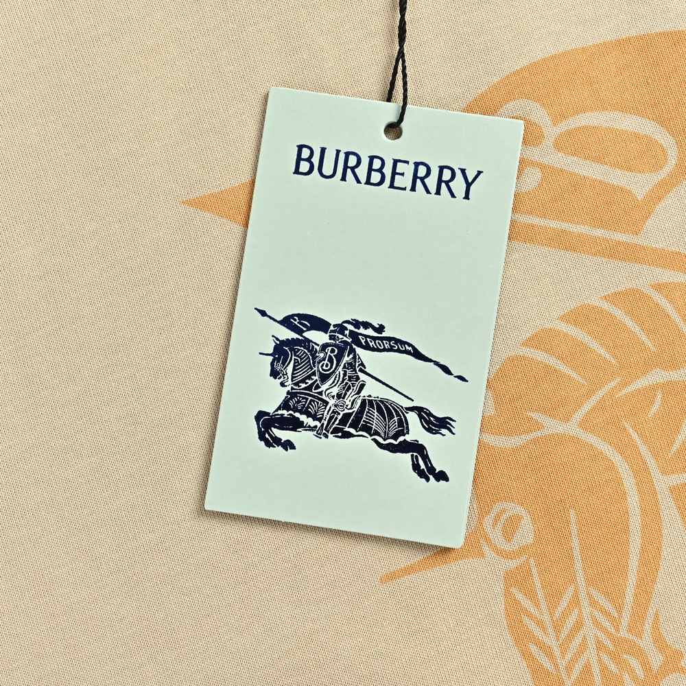 Burberry T-shirts-1211