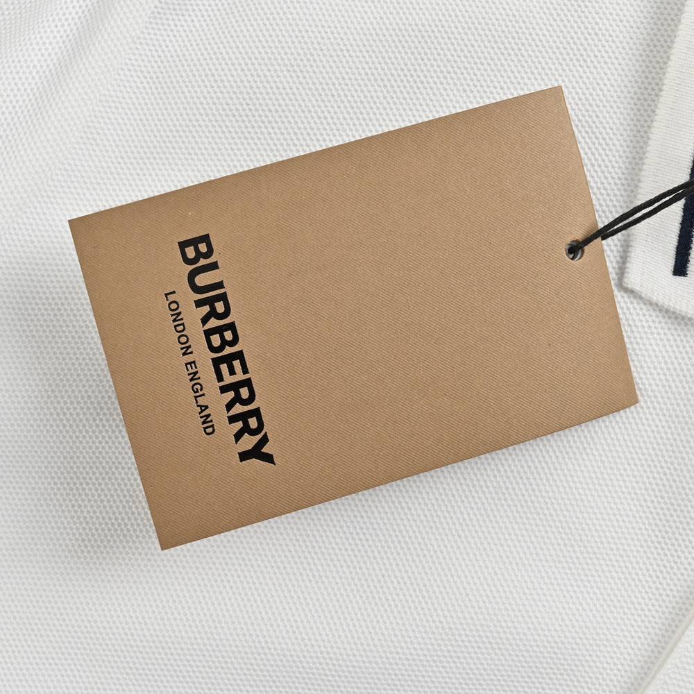 Burberry Polo(AAA)-067