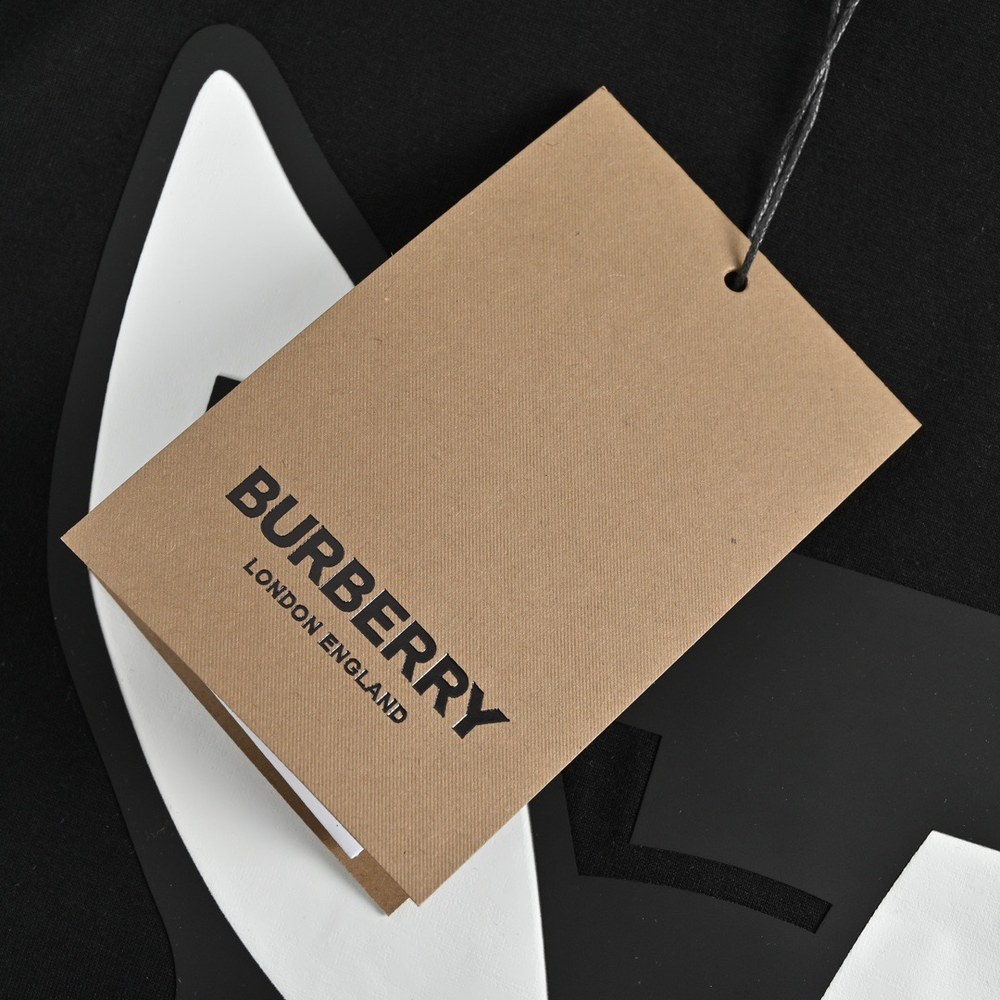 Burberry T-shirts-1051