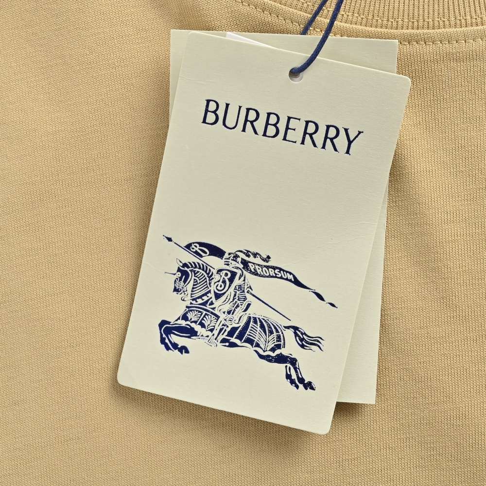 Burberry T-shirts-1070