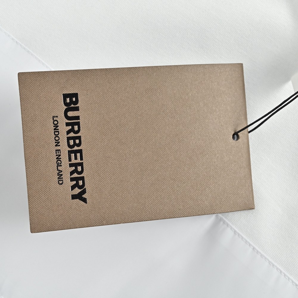 Burberry T-shirts-1234