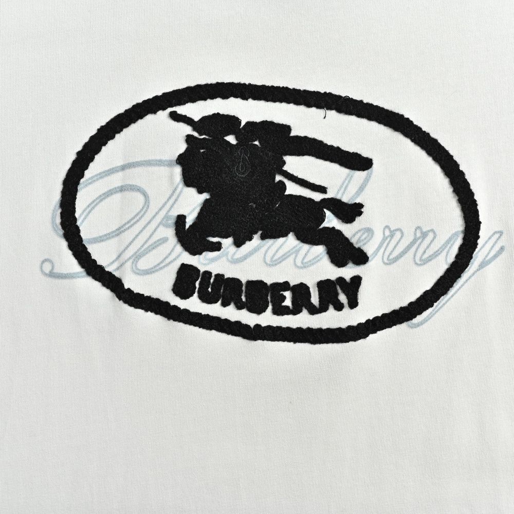 Burberry T-shirts-1159