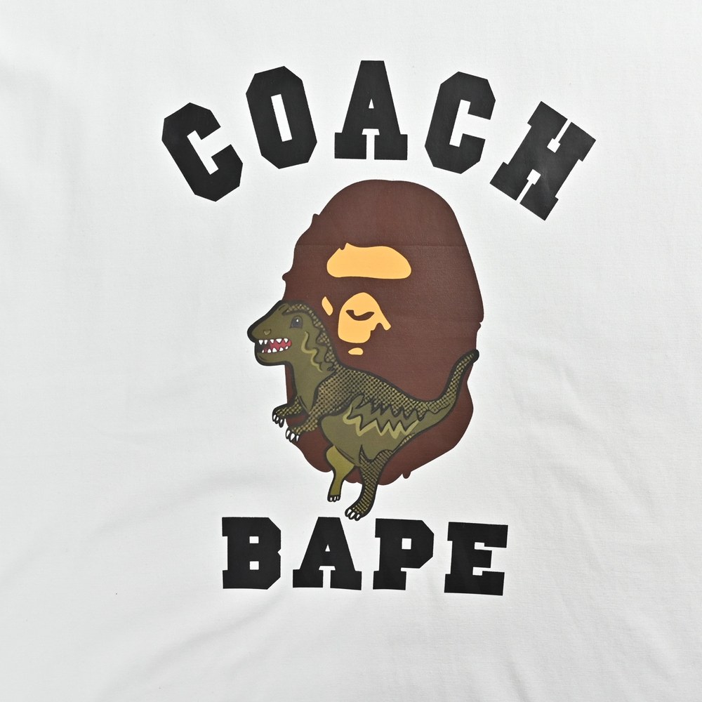 Bape T-shirts-1058