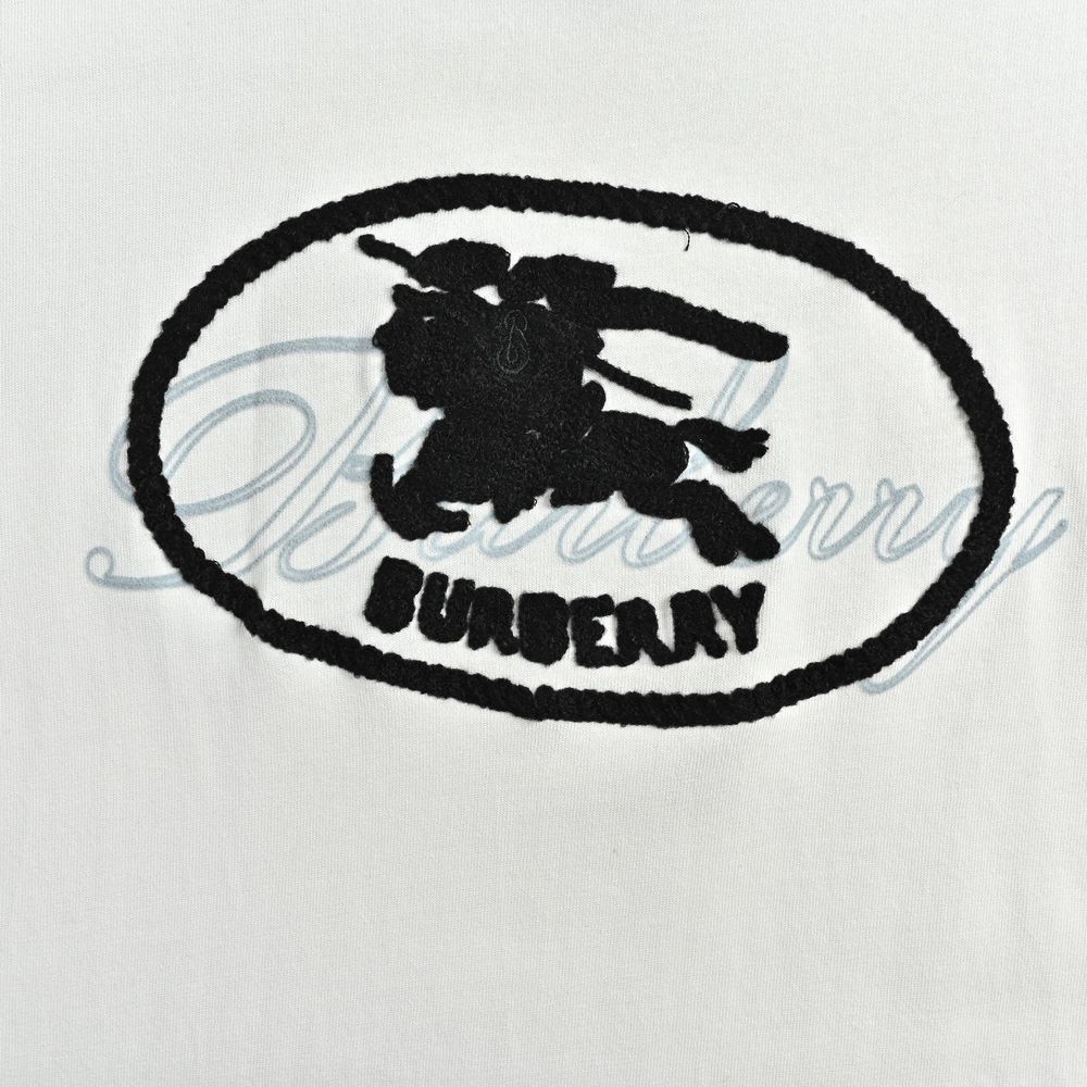 Burberry T-shirts-1162