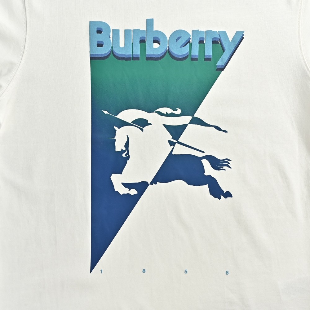 Burberry T-shirts-1232