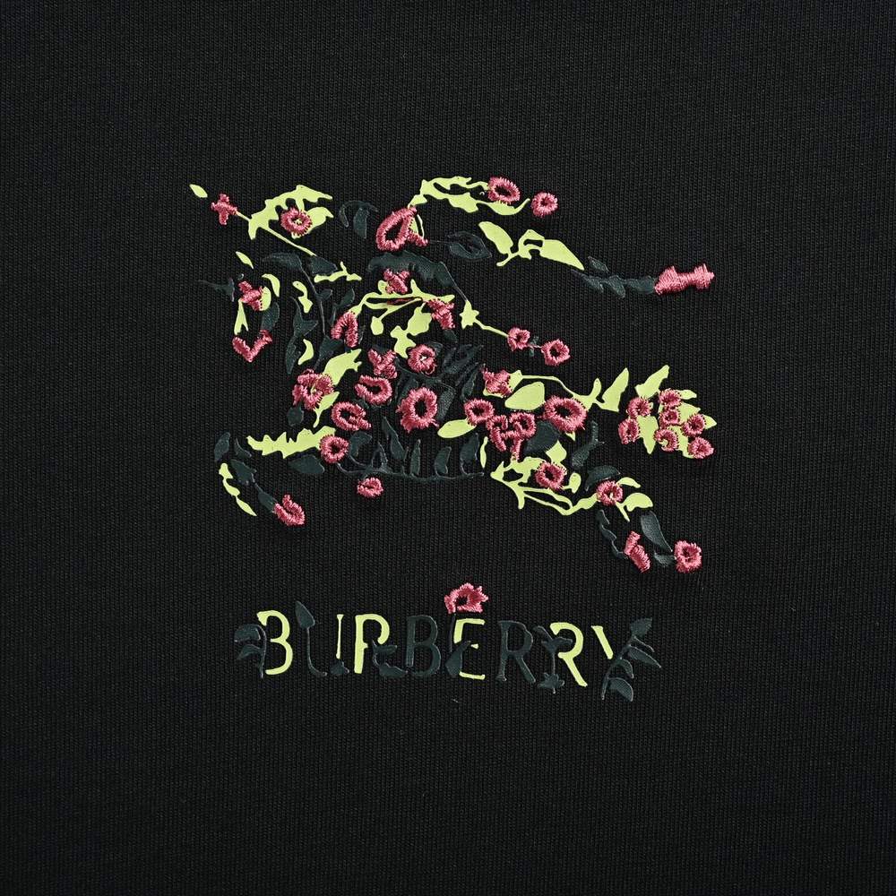 Burberry T-shirts-1265