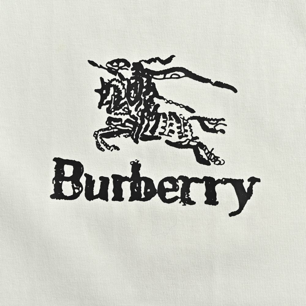 Burberry T-shirts-1090