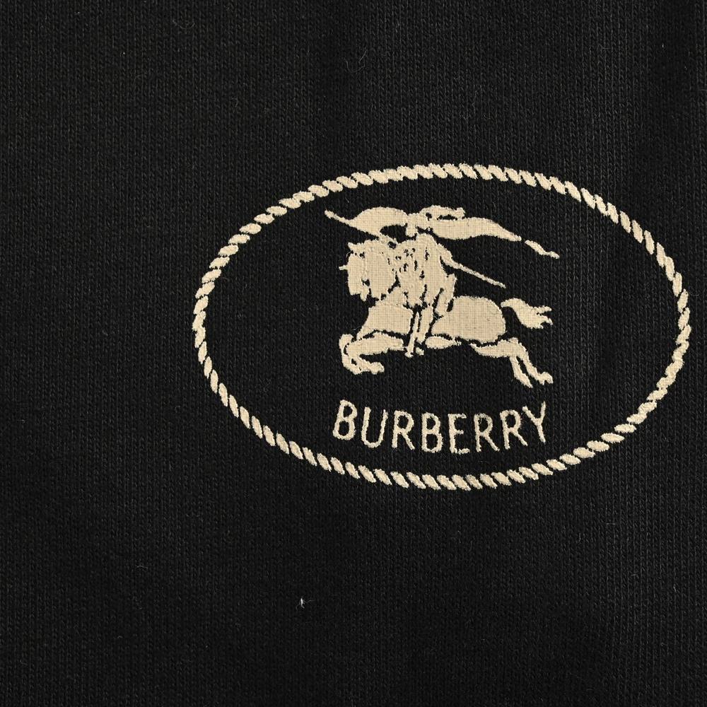 Burberry Pants-011