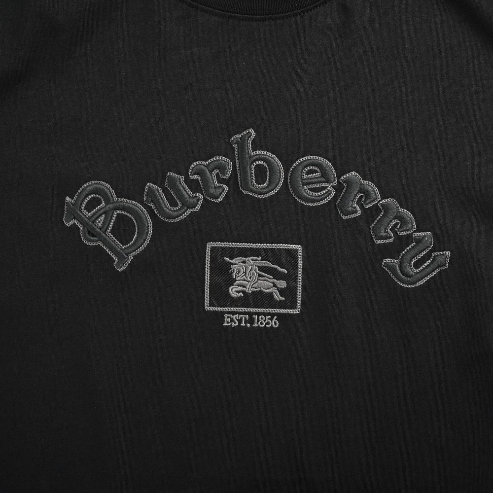 Burberry T-shirts-1229