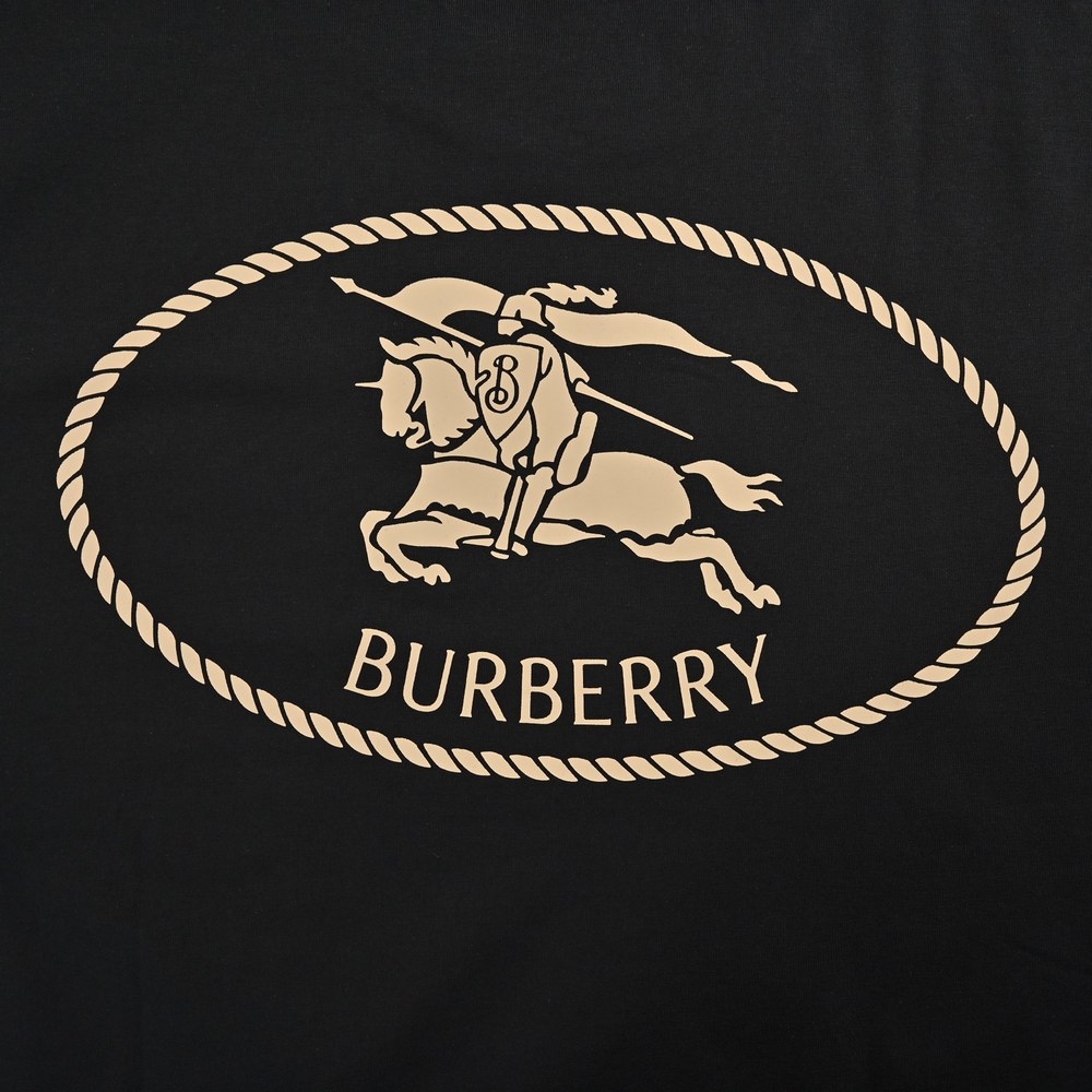 Burberry T-shirts-1119