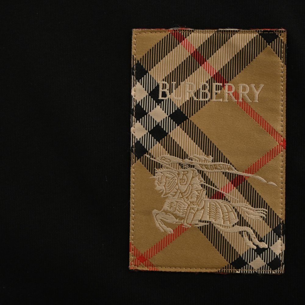 Burberry T-shirts-1076