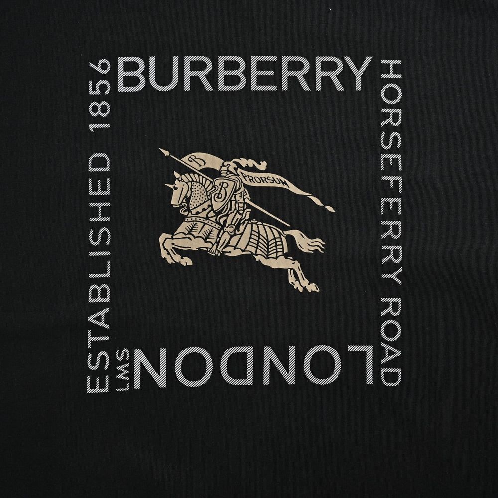 Burberry T-shirts-1133