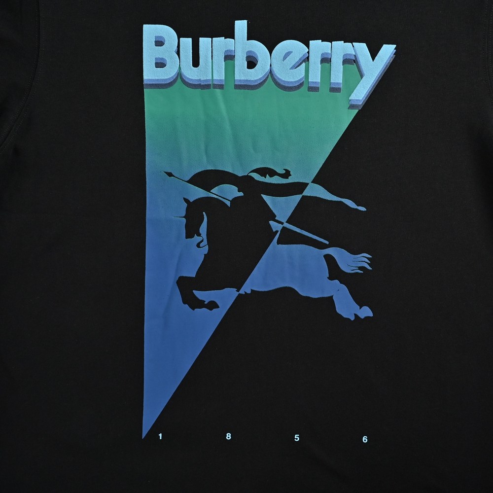 Burberry T-shirts-1231