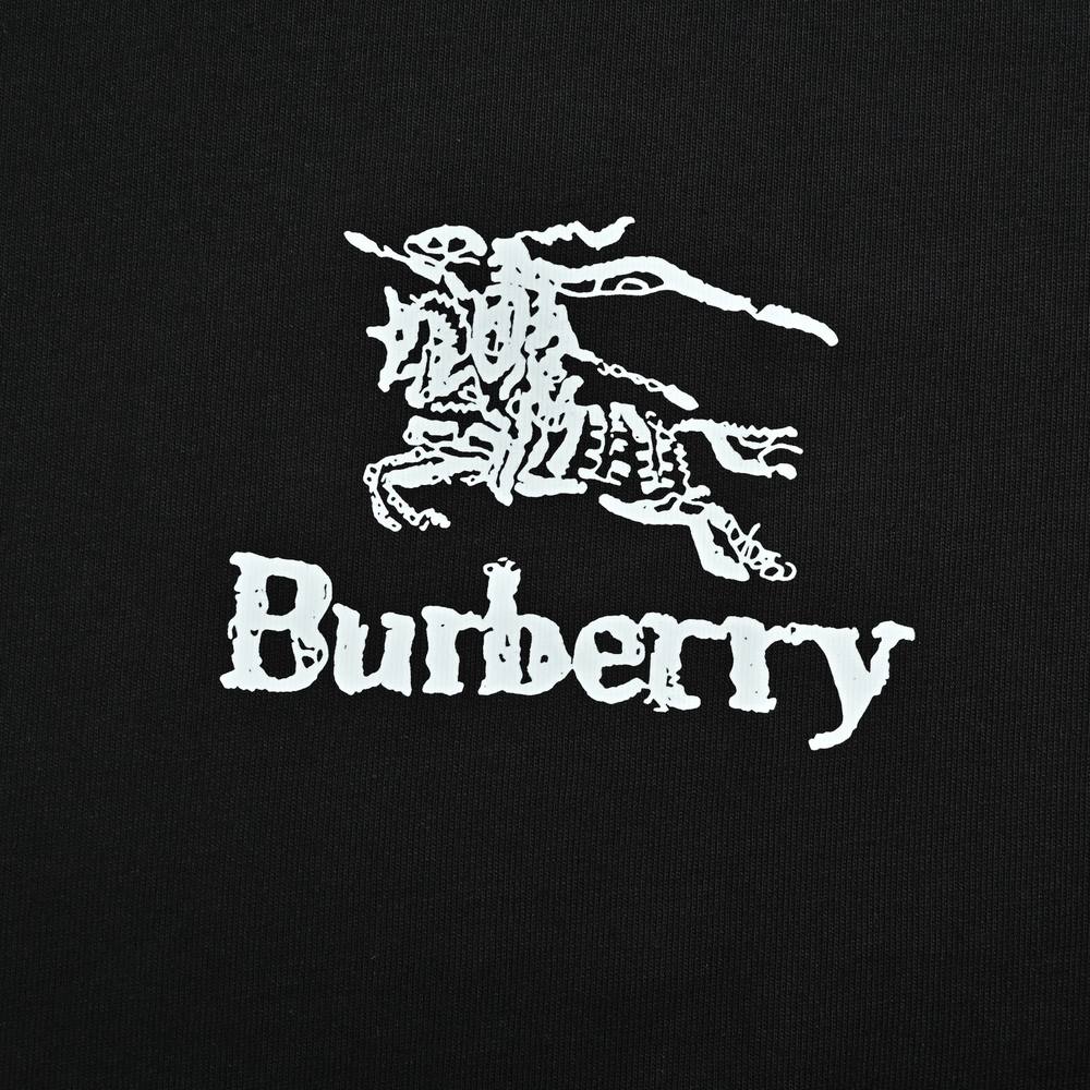 Burberry T-shirts-1089