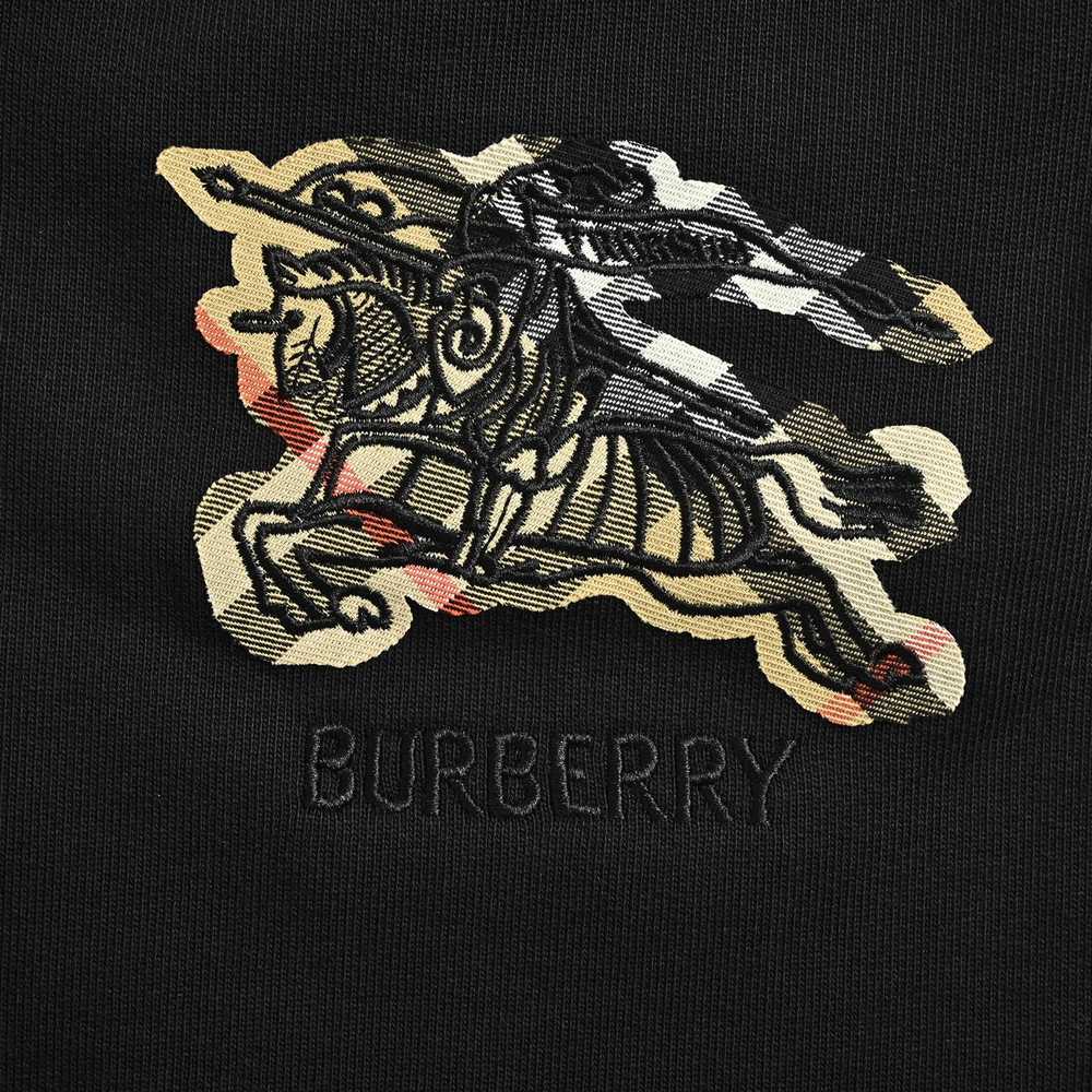 Burberry Shorts-154