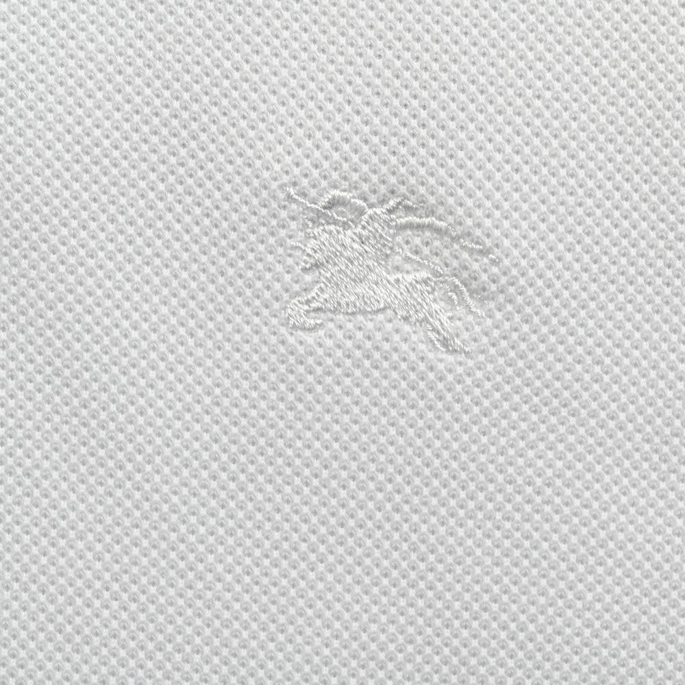 Burberry Polo(AAA)-010