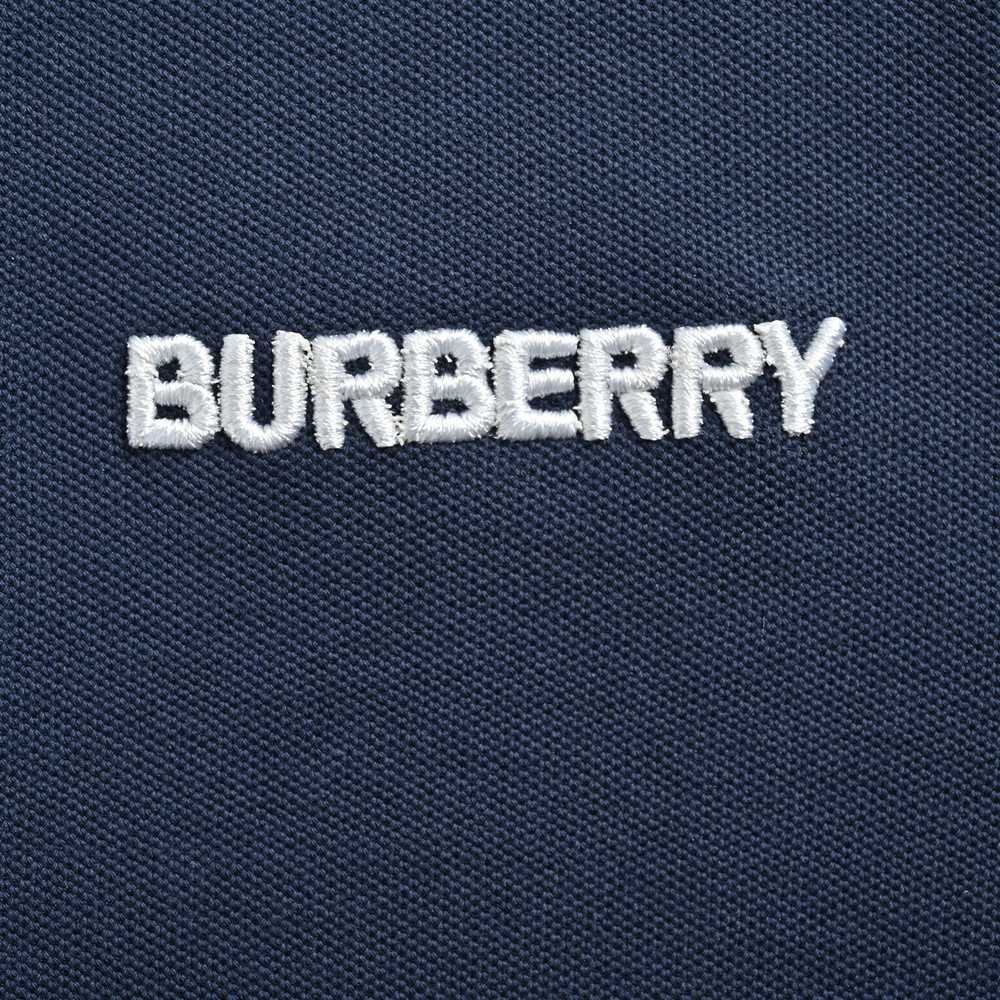 Burberry Polo(AAA)-029