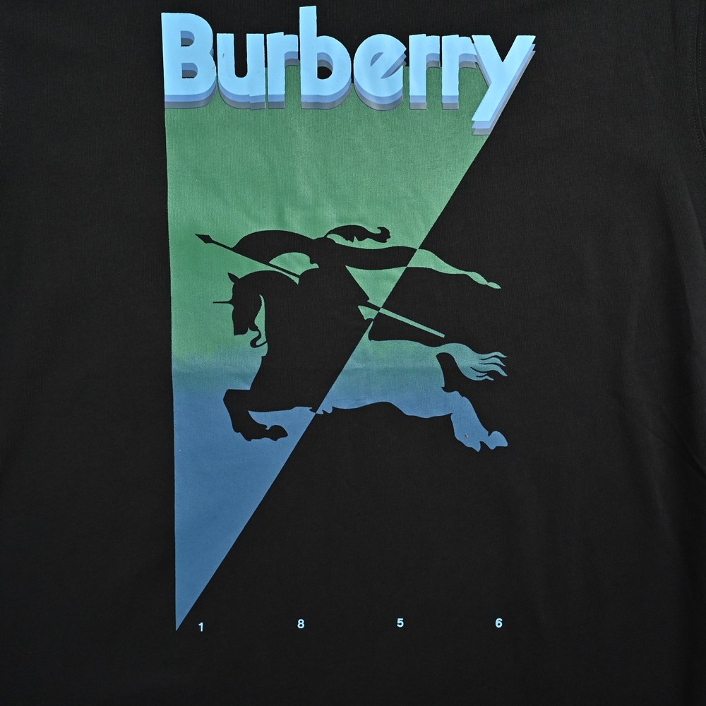 Burberry T-shirts-1245