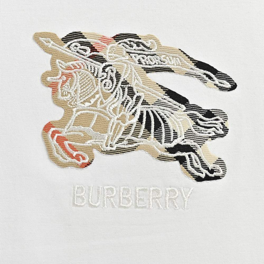 Burberry T-shirts-1101