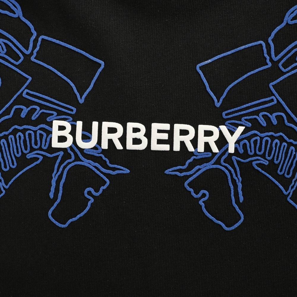 Burberry T-shirts-1084