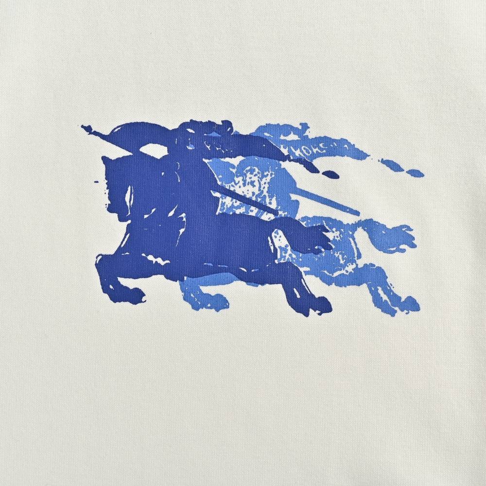Burberry T-shirts-1064