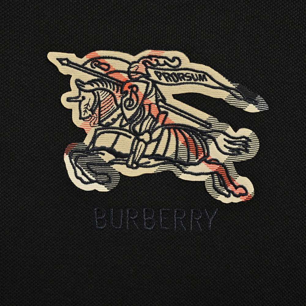 Burberry Polo(AAA)-042