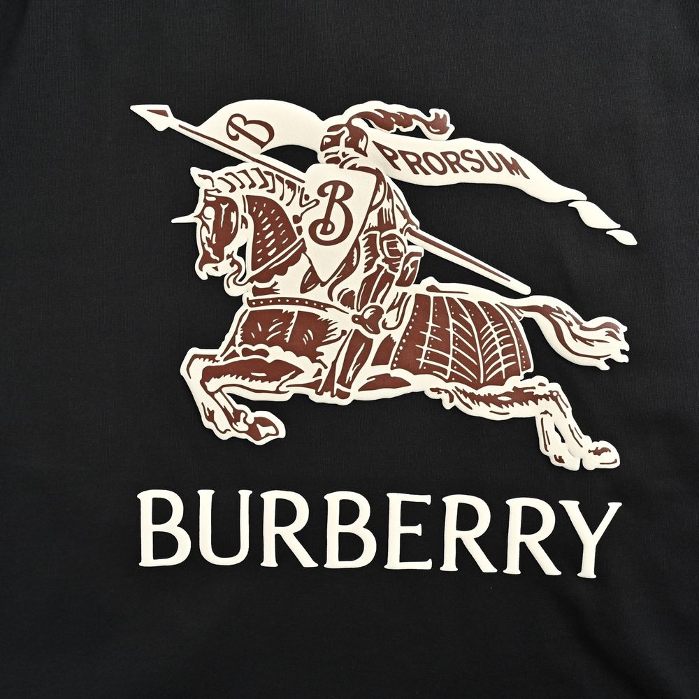 Burberry T-shirts-1087