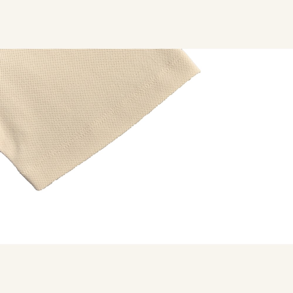 Burberry Polo(AAA)-008