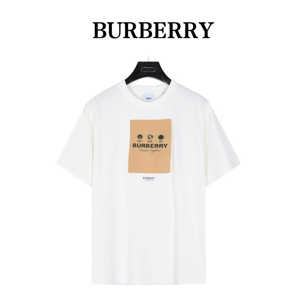 Burberry T-shirts-1323
